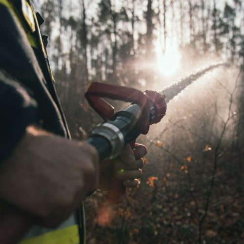 Zugsübung Waldbrand in Walpersbach