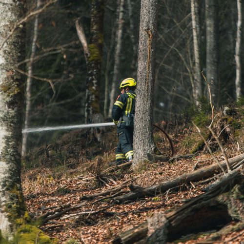 wrnth-bfkdo-waldbrandübung_waldbrandgruppe_21-25